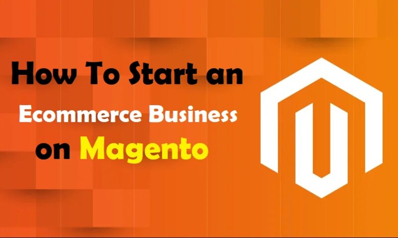 Ecommerce Business on Magento