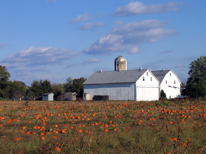 Amish Country in Ohio: 3 Things to Try